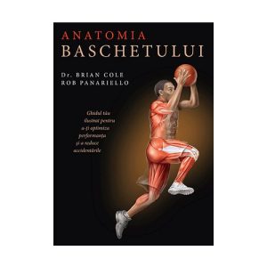 Anatomia baschetului