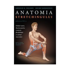 Anatomia stretchingului