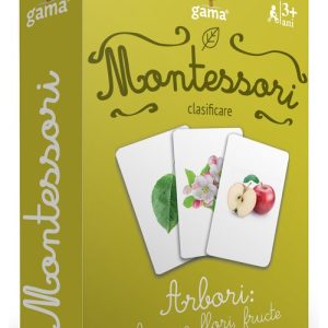 Arbori: frunze flori fructe