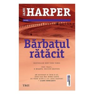 Barbatul ratacit