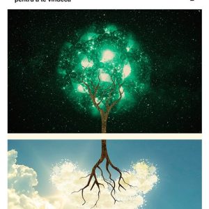Boala - o memorie genealogica: cum sa-ti interpretezi istoria familiala pentru a te vindeca
