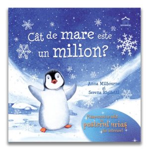 Cat de mare este un milion?