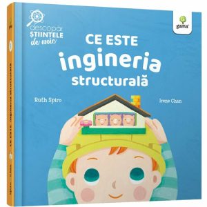 Ce este ingineria structurala