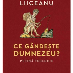 Ce gandeste Dumnezeu? Putina teologie