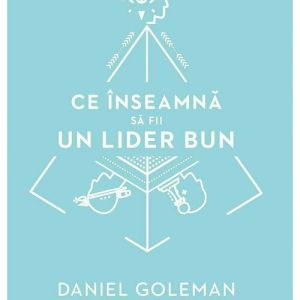 Ce inseamna sa fii un lider bun