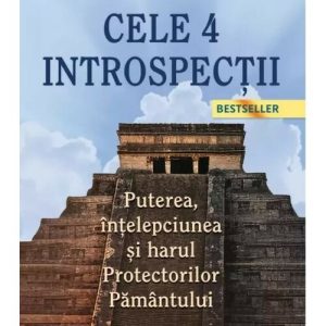 Cele 4 introspectii