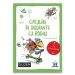 Circulam in siguranta cu Robin, Didactica Publishing House, Bookurii pentru copii – ofertă, preț și specificații