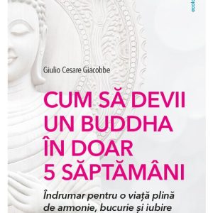 Cum sa devii un Buddha in doar 5 saptamani: indrumar pentru o viata plina de armonie