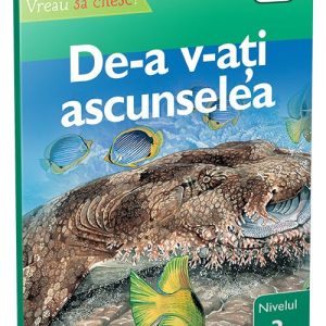 De-a v-ati ascunselea • nivelul 3