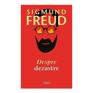 Despre dezastre