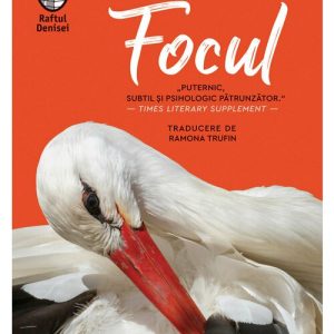 Focul