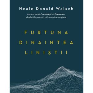 Furtuna dinaintea linistii