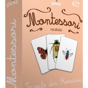 Insecte din Romania