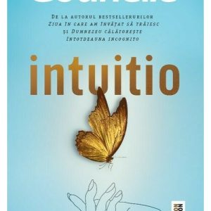 Intuitio