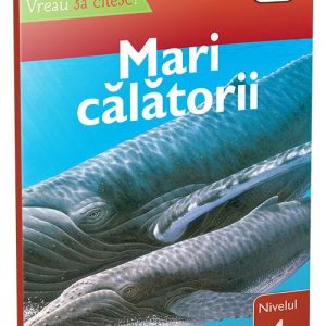 Mari calatorii • nivelul 4