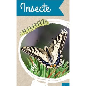 Micul Biolog - Insecte