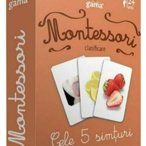 Montessori. Clasificare. Cele 5 simturi