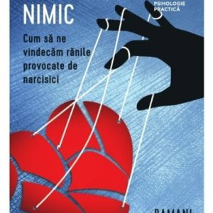 N-ai gresit nimic