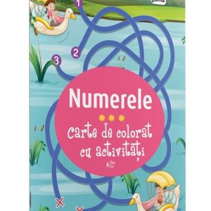 Numerele