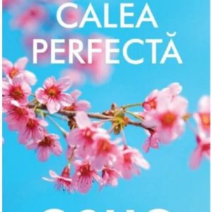 Osho. Calea perfecta