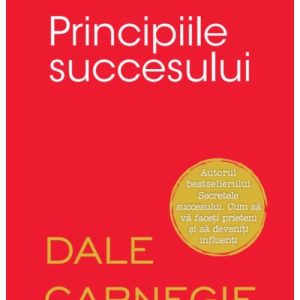 Principiile succesului