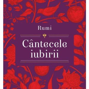 Rumi - Cantecele iubirii