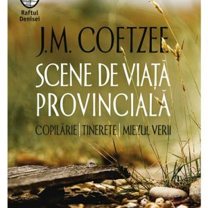 Scene de viata provinciala