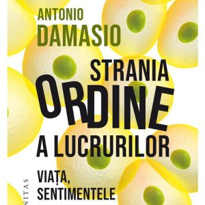 Strania ordine a lucrurilor