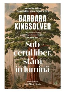 Sub cerul liber, stam in lumina, Curtea Veche, Fictiune