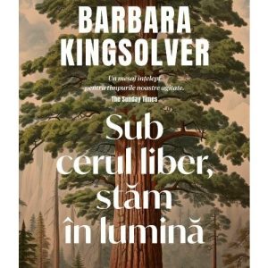 Sub cerul liber, stam in lumina, Curtea Veche, Fictiune – ofertă, preț și specificații