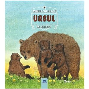 URSUL- Animale salbatice în natura
