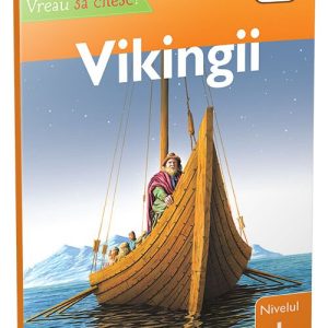 Vikingii • nivelul 1