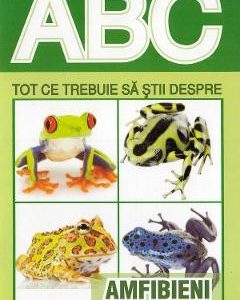 ABC Tot ce trebuie sa stii despre amfibieni