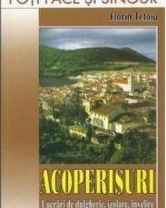 Acoperisuri - Florin Tetoiu