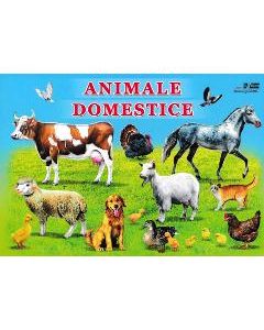 Animale domestice