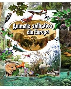 Animale salbatice din Europa
