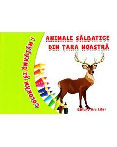 Animale salbatice din tara noastra - Coloram si invatam!