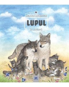 Animale salbatice in natura - Lupul