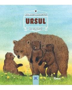 Animale salbatice in natura - Ursul