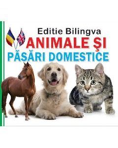 Animale si pasari domestice. Editie bilingva