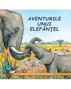 Aventurile unui elefantel - Sa cunoastem lumea inconjuratoare!