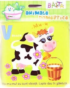 Baita - Animale domestice