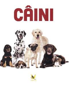 Caini