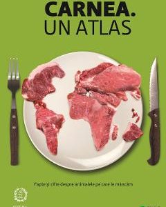 Carnea. Un atlas - Heinrich Boll Stiftung