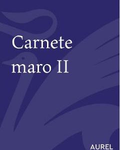 Carnete maro 2 - Aurel Dumitrascu