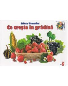 Ce creste in gradina - Silvia Ursache
