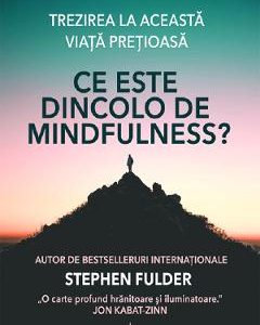 Ce este dincolo de Mindfulness? - Stephen Fulder