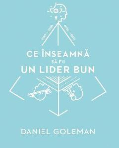 Ce inseamna sa fii un lider bun - Daniel Goleman