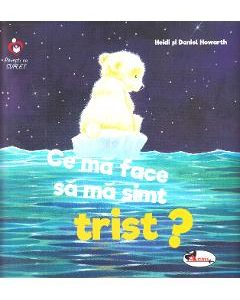 Ce ma face sa ma simt trist? - Heidi Howarth