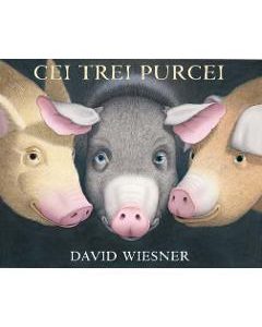 Cei trei purcei - David Wiesner